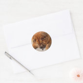 Chow Phat en Friend Ronde Sticker (Envelop)