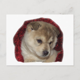 Chow Puppy in Red Scarf Briefkaart
