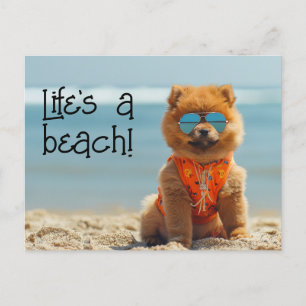 ChowChow Puppy dragen zonnebril briefkaart