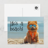 ChowChow Puppy dragen zonnebril briefkaart (Voorkant / Achterkant)