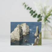 Chowiet Seabird Colonies, Alaska Briefkaart (Staand voorkant)