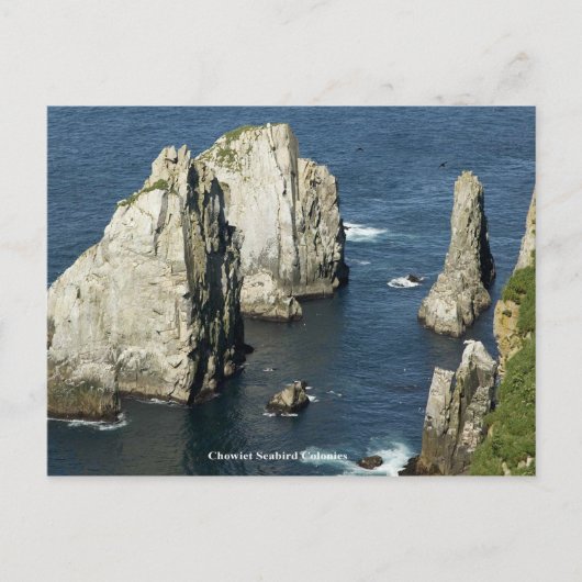 Chowiet Seabird Colonies, Alaska Briefkaart (Voorkant)