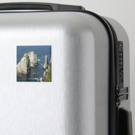 Chowiet Seabird Colonies, Alaska Magneet (Insitu (bagage))