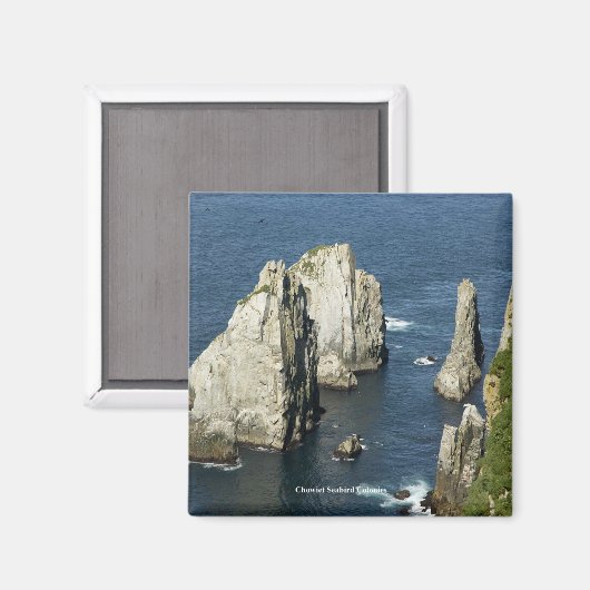 Chowiet Seabird Colonies, Alaska Magneet (Voorkant / Achterkant)