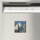 Chowiet Seabird Colonies, Alaska Magneet (Insitu (Vaatwasser))