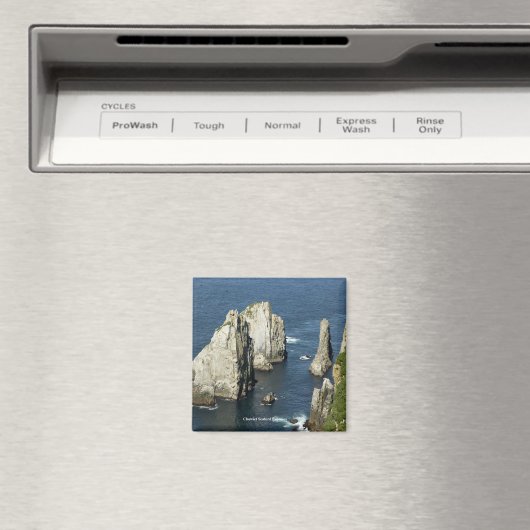 Chowiet Seabird Colonies, Alaska Magneet (Insitu (Vaatwasser))