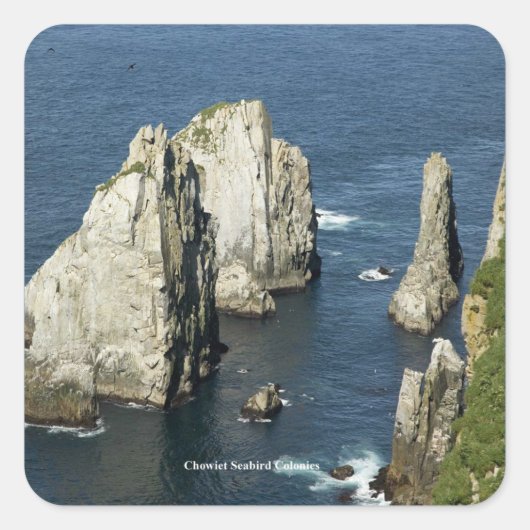 Chowiet Seabird Colonies, Alaska Vierkante Sticker (Voorkant)