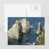 Chowiet-zeevogelkolonies, Alaska Briefkaart (Voorkant / Achterkant)