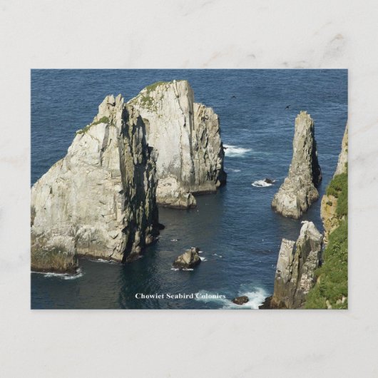Chowiet-zeevogelkolonies, Alaska Briefkaart (Voorkant)