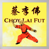 Choy Lai Fut Poster (Voorkant)