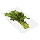 Choy Sum fotomagneet Magneet (Rechterzijde)