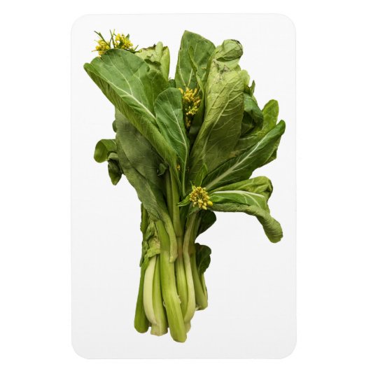 Choy Sum fotomagneet Magneet (Verticaal)