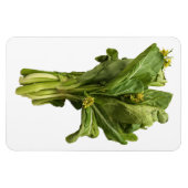 Choy Sum fotomagneet Magneet (Horizontaal)