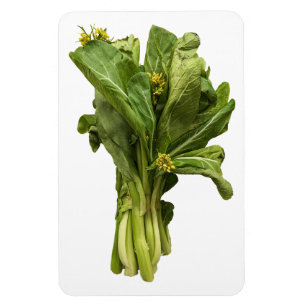 Choy Sum fotomagneet Magneet