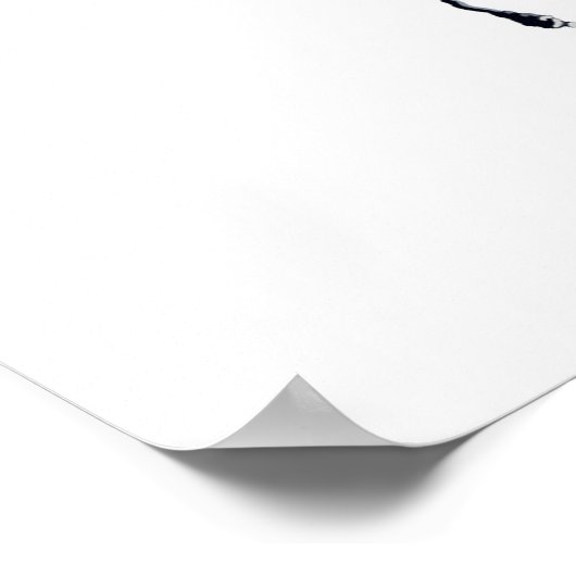 Chris Craft Cobra Poster (Hoek)