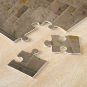 Christ Church Dublin. Legpuzzel (Zijkant)