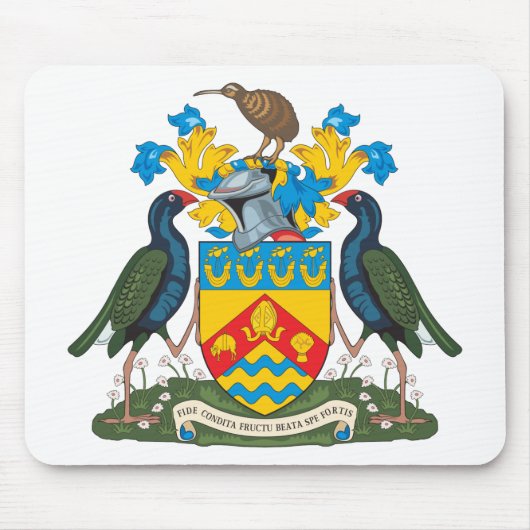 ChristChurch Coat of Arms Muismat (Voorkant)