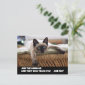 CHRISTELIJK CAT-BRIEFKAART JOB 12:7 SIAMESE CAT BRIEFKAART (Staand voorkant)