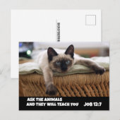 CHRISTELIJK CAT-BRIEFKAART JOB 12:7 SIAMESE CAT BRIEFKAART (Voorkant / Achterkant)