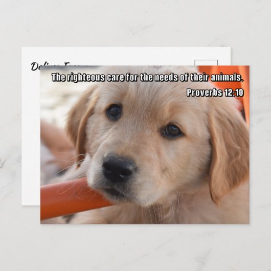 Christelijk puppy Briefkaart (Voorkant / Achterkant)