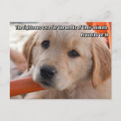 Christelijk puppy Briefkaart (Voorkant)