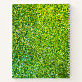 CHRISTELIJK SCHRIJF DE VISIE  GROEN NOTITIEBOEK (Achterkant)