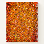 CHRISTELIJK SCHRIJF DE VISIE  ROOD NOTITIEBOEK (Achterkant)