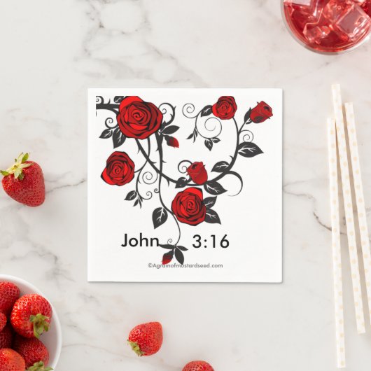 Christelijk Servet (Insitu)