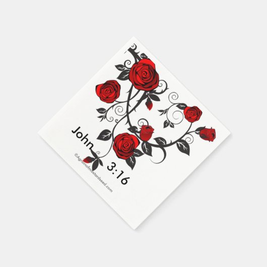 Christelijk Servet (Hoek)