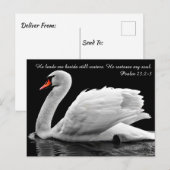 Christelijk zwaan Briefkaart (Voorkant / Achterkant)
