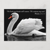 Christelijk zwaan Briefkaart (Voorkant)