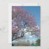 Christelijke bruiloft, kersenbloesem kaart (Achterkant)