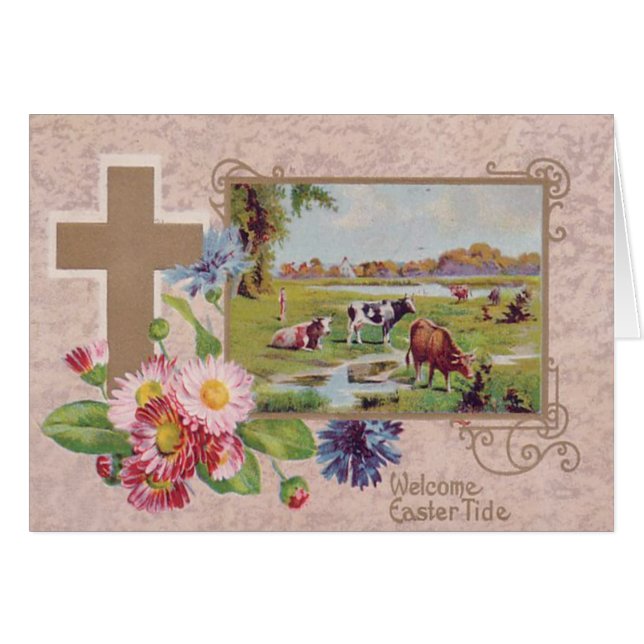Christelijke Cross Daisy Koe Pasture (Voorkant Horizontaal)