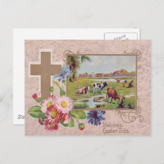 Christelijke Cross Daisy Koe Pasture Briefkaart (Voorkant / Achterkant)