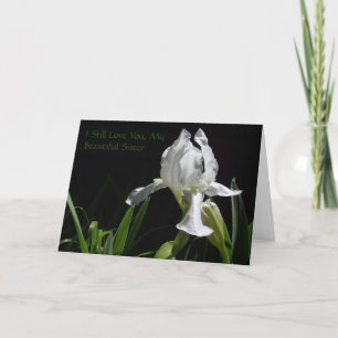 Christelijke Gevangene Kaart met Evangelie bericht