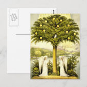  Christelijke illustratie van de levensboom 1892 Briefkaart (Voorkant / Achterkant)