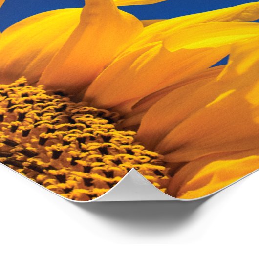 Christelijke Inspirerend Bijbelprijsopgave Poster (Hoek)