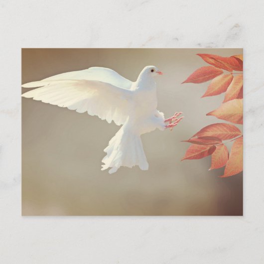 Christelijke inspirerend religieus sympathie briefkaart (Voorkant)