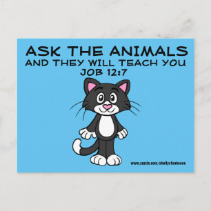 Christelijke Kat-Briefkaarten memes, taak 12:7 Briefkaart