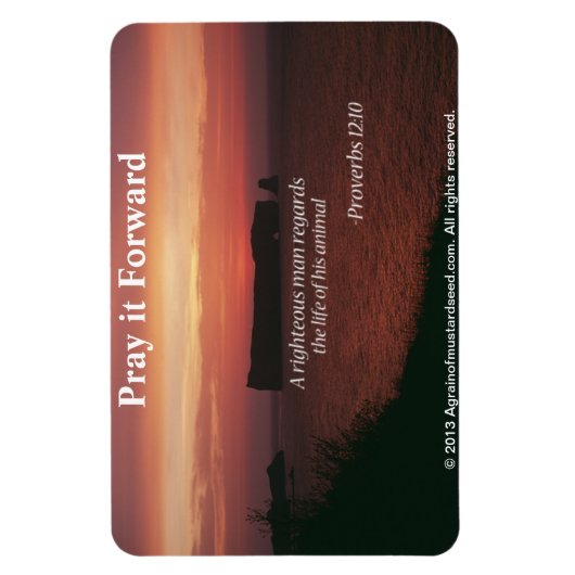 Christelijke offertes Inspirerend Magneet (Verticaal)