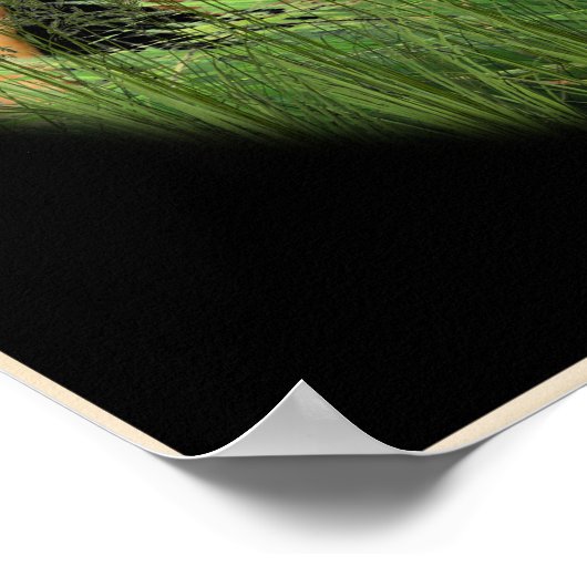 Christelijke posters (Hoek)