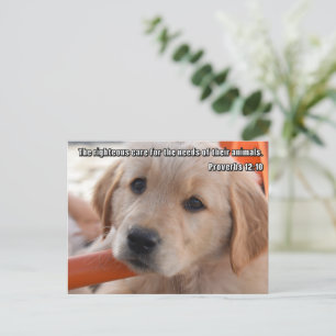 Christelijke Puppypostkaart Briefkaart