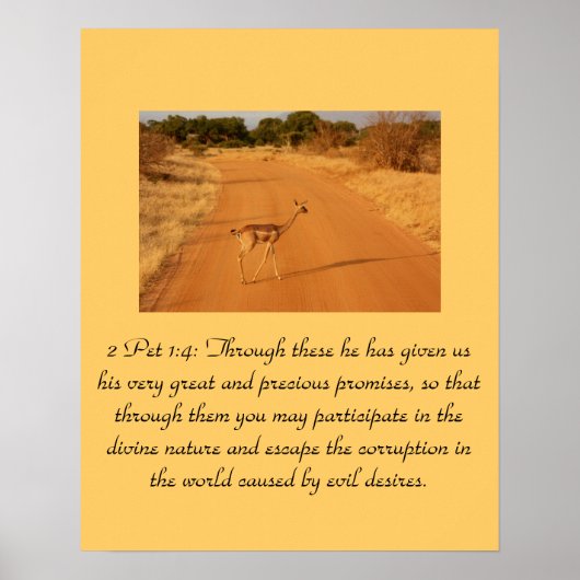 Christelijke Schrift 2 Pet 1:4 Poster (Voorkant)