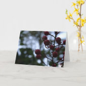 Christelijke sympathiekaart Psalm Bijbelvers Kaart (Gele Bloem)