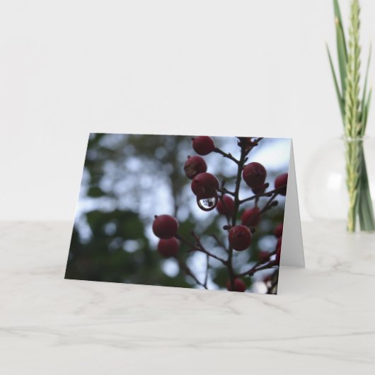 Christelijke sympathiekaart Psalm Bijbelvers Kaart (Voorkant)