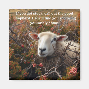 Christen, de goede Herder, christelijke vreugde Magneet