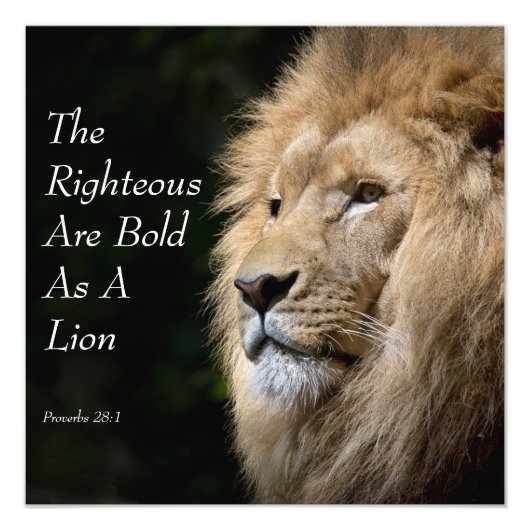 Christian Art - Lion - Proverbs 28:1 Foto Afdruk (Voorkant)