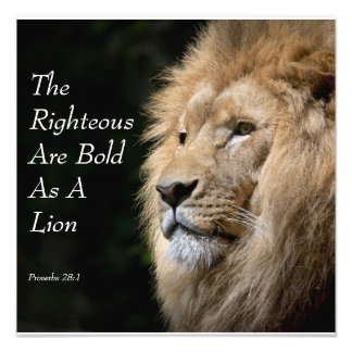 Christian Art - Lion - Proverbs 28:1 Foto Afdruk
