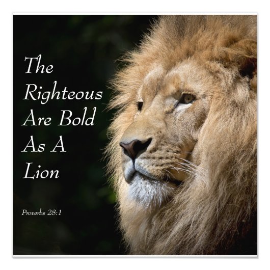 Christian Art - Lion - Proverbs 28:1 Foto Afdruk (Voorkant)