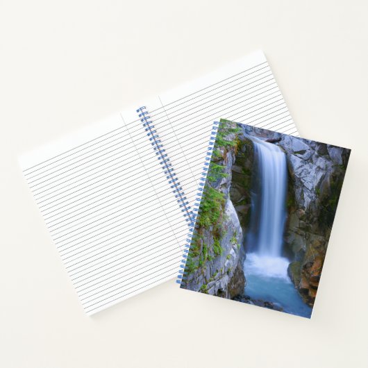 Christine Falls Schitterend Notitieboek (Binnen)